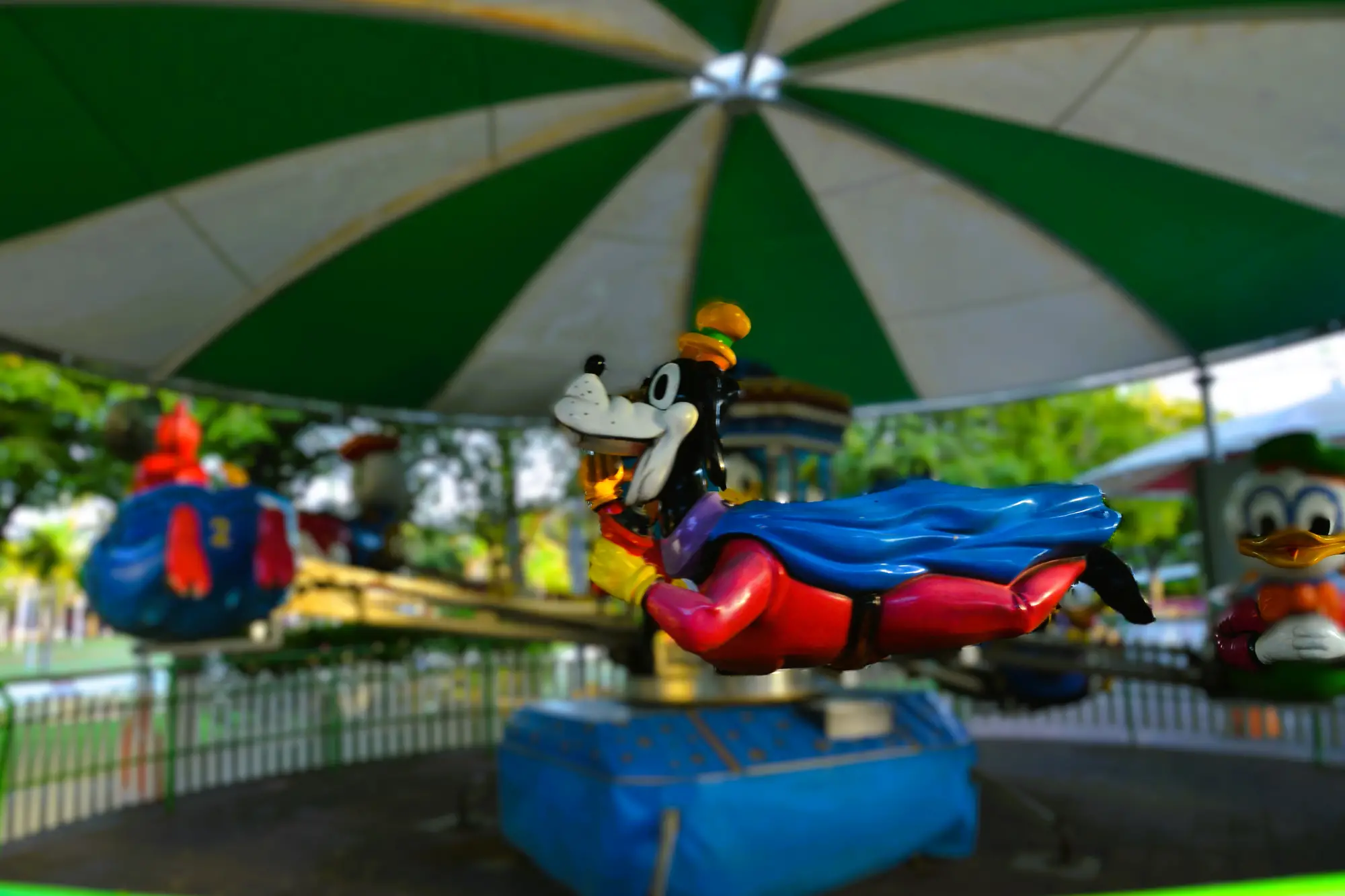 חיות מעופפות 113