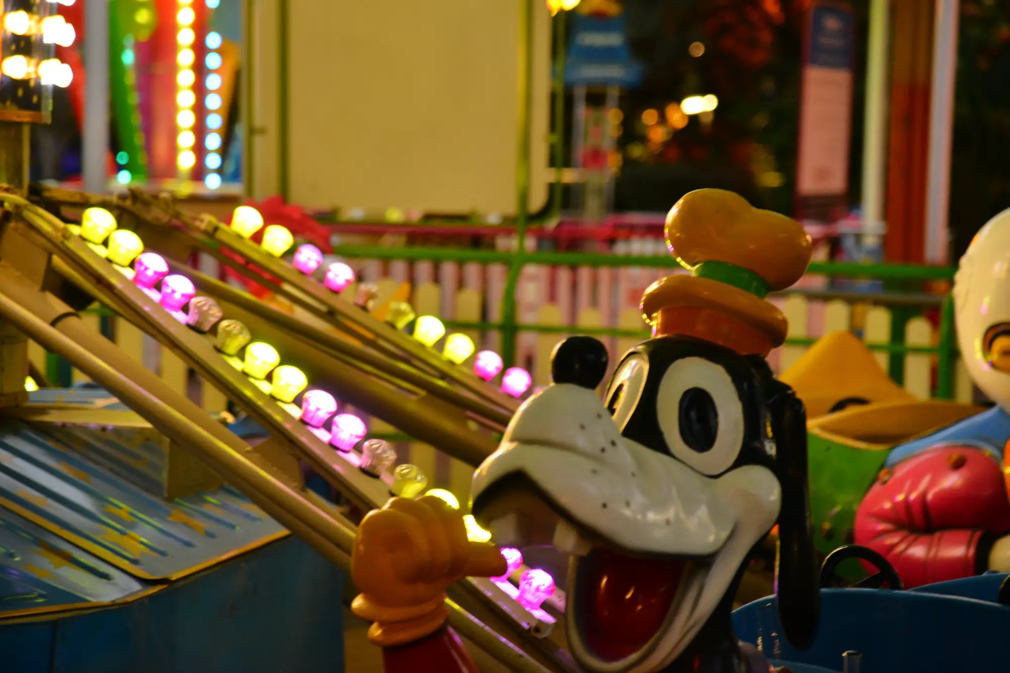 חיות מעופפות 116