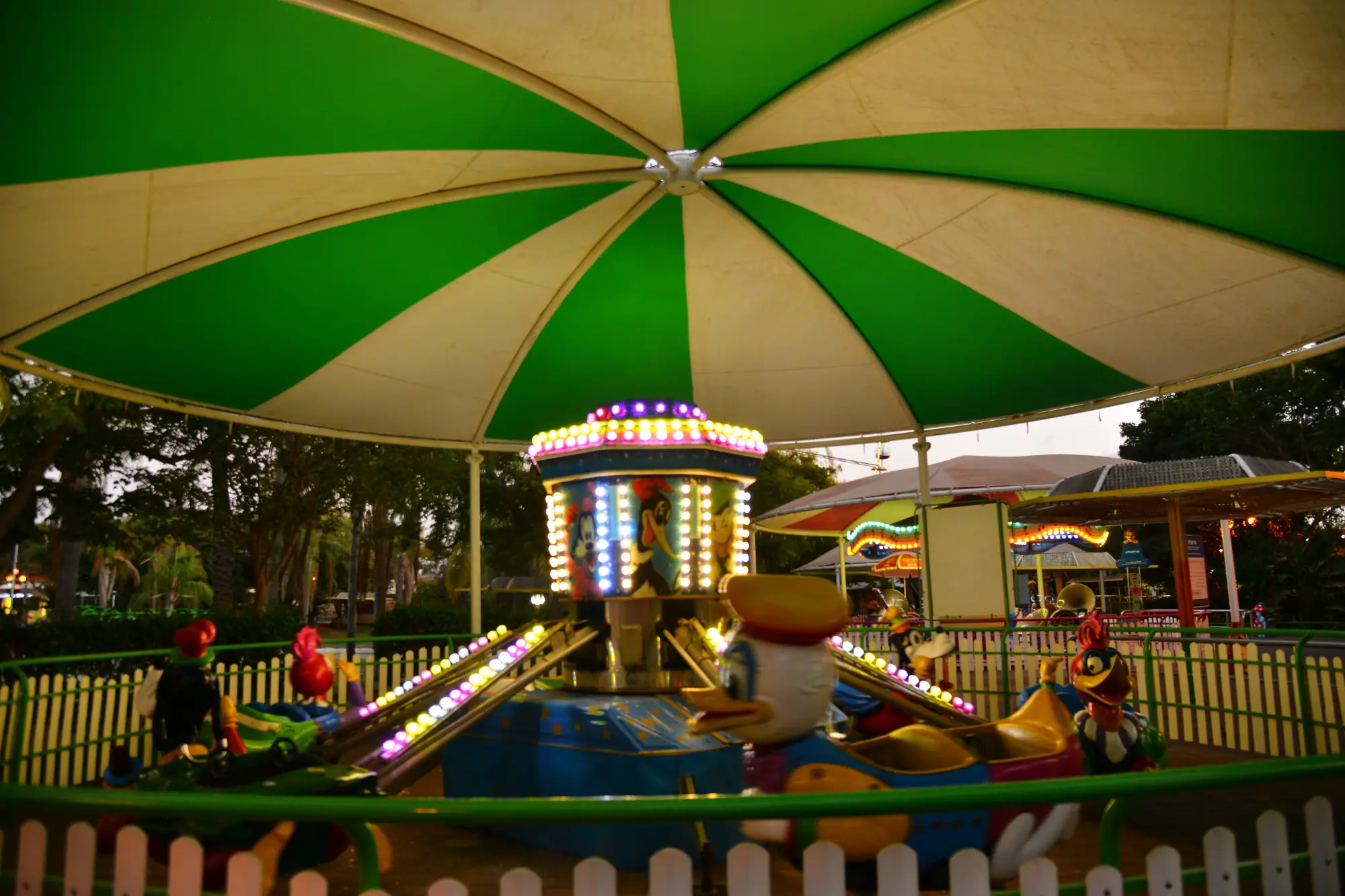 חיות מעופפות 117