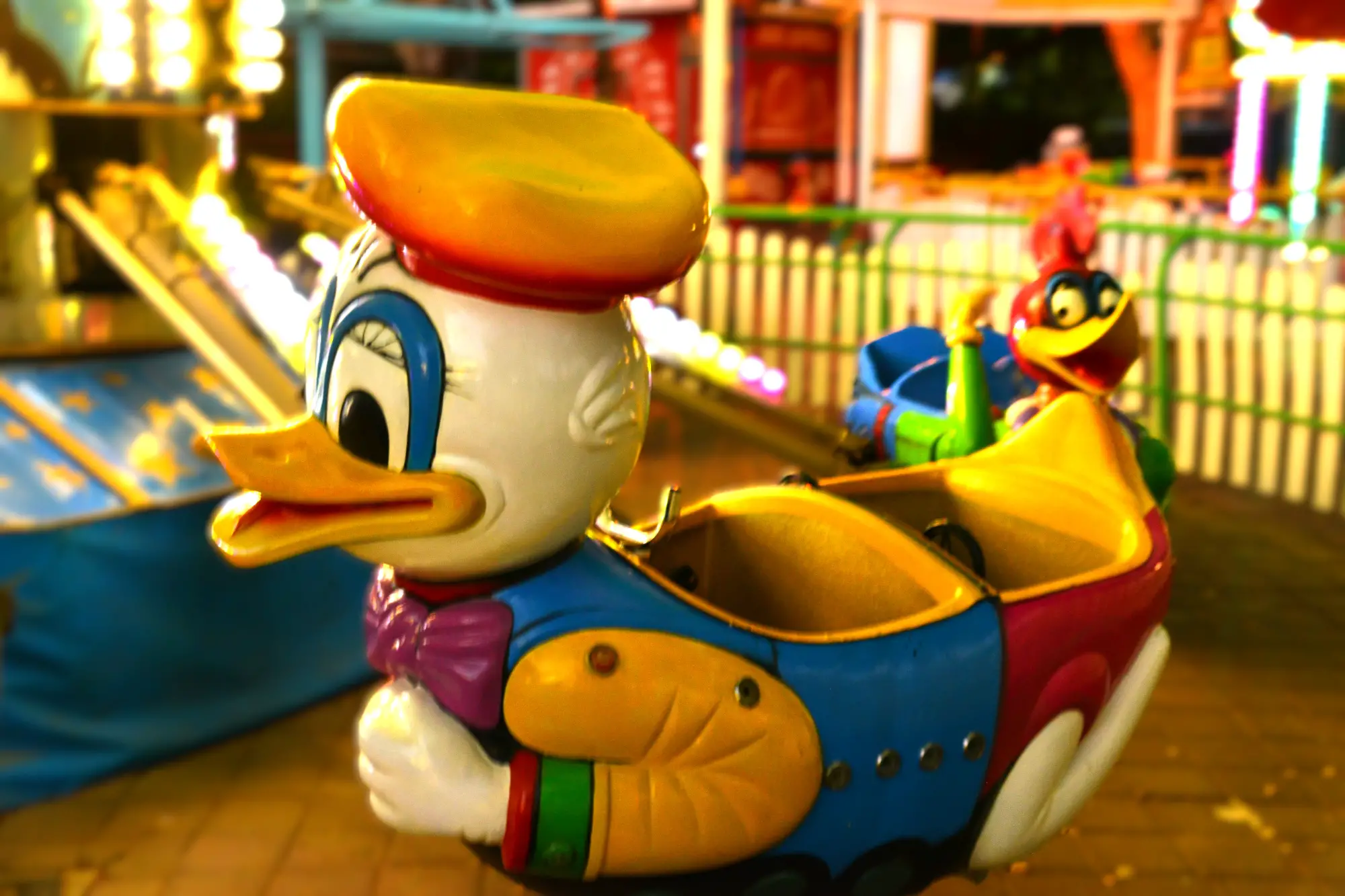 חיות מעופפות 122