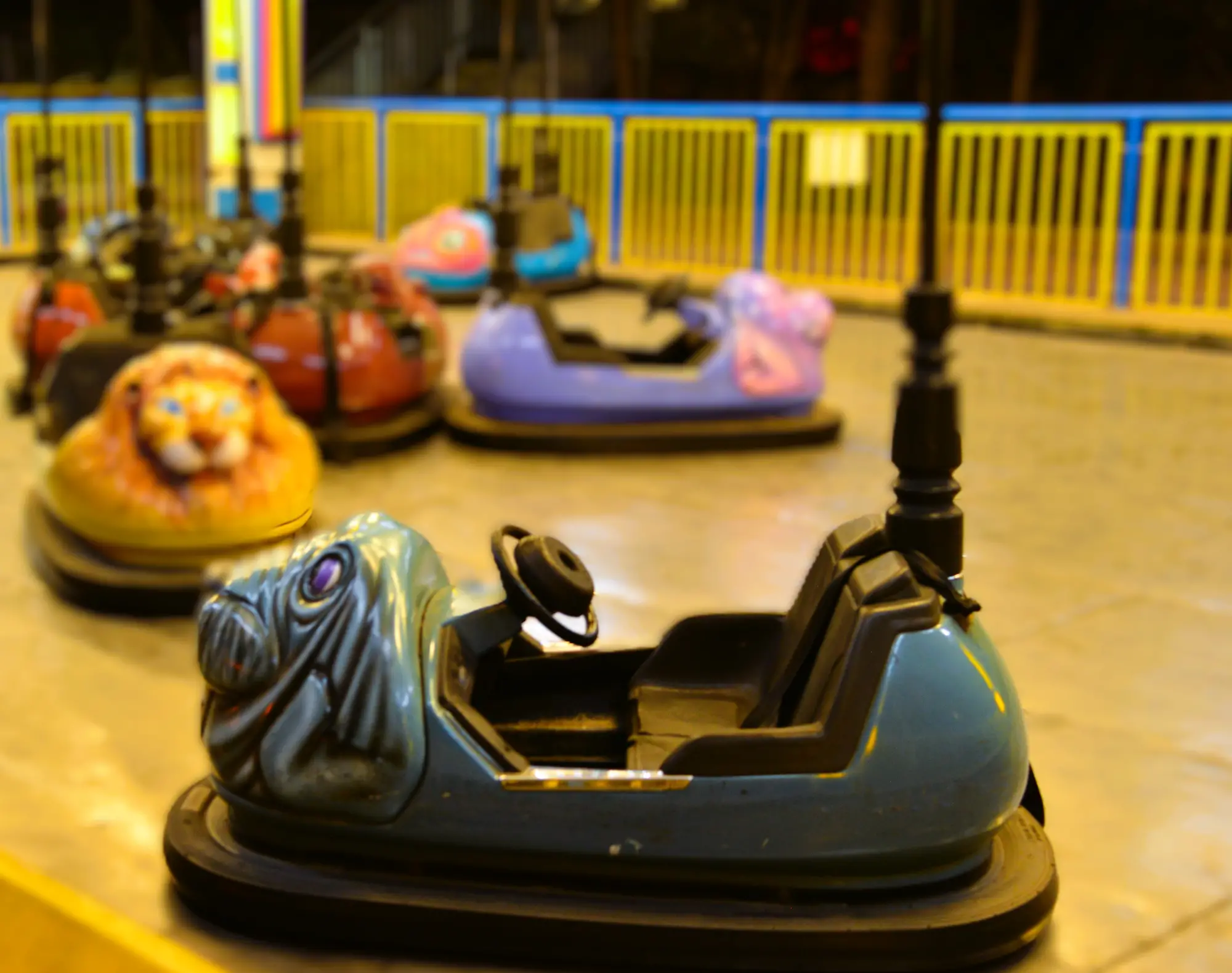 מיני מכוניות מתנגשות 71