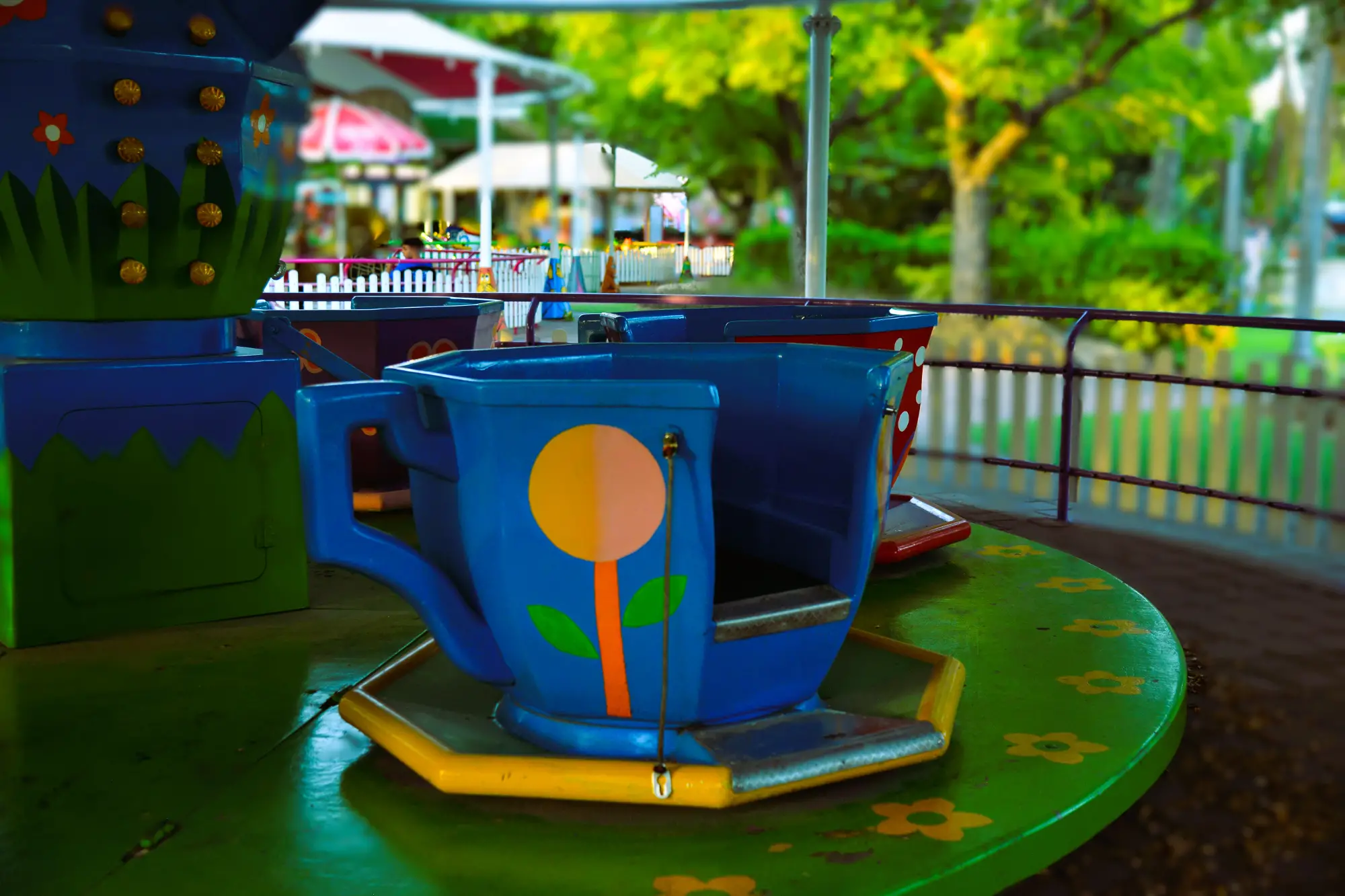 קרוסלת הספלים (4)