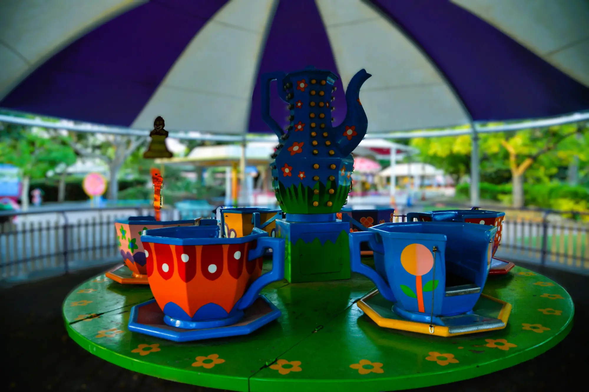 קרוסלת הספלים (9)