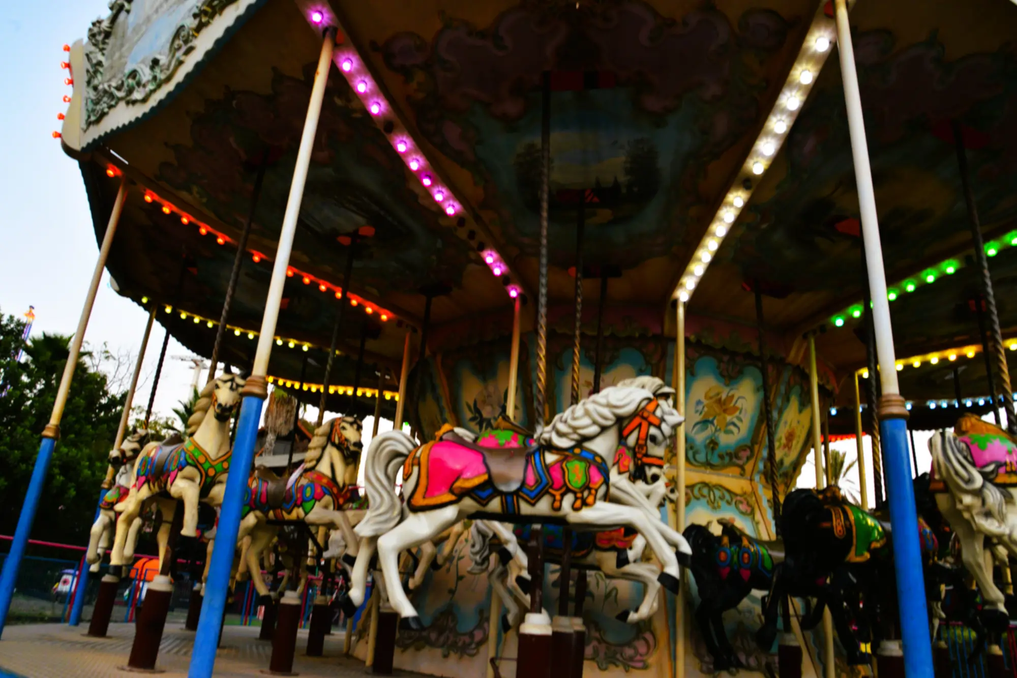 קרוסלת סוסים 22