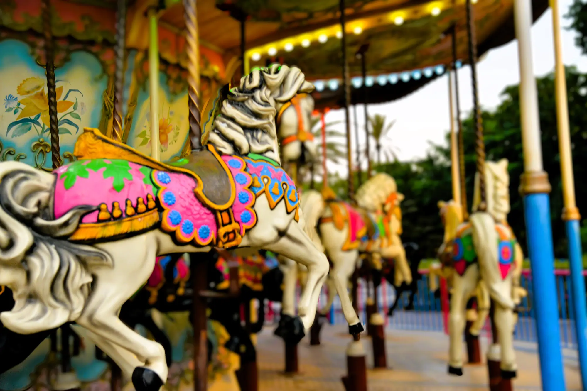 קרוסלת סוסים 23