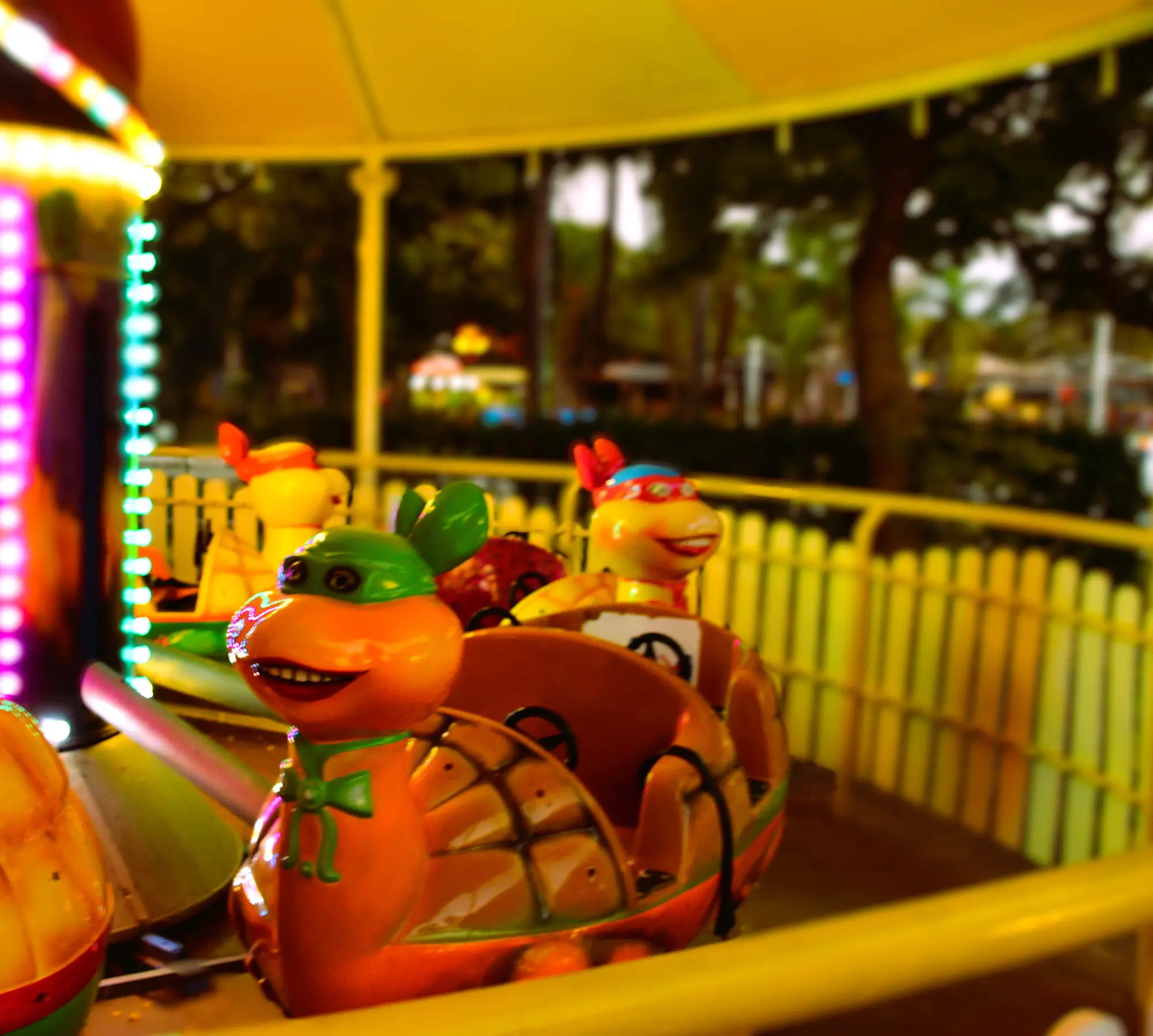 קרוסלת צבי הנינג'ה (4)